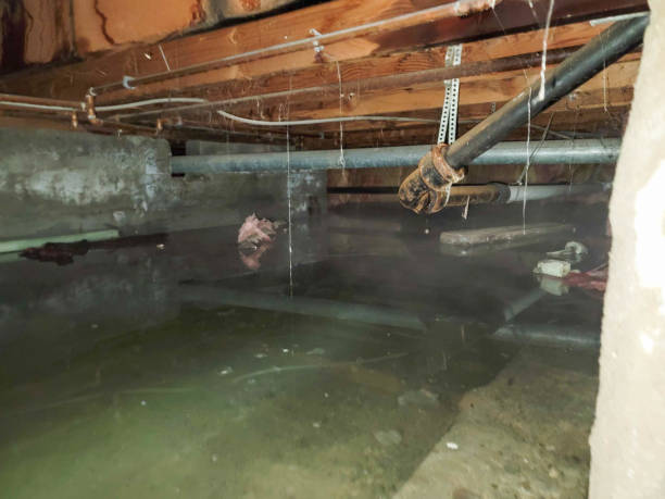  Weweantic, MA Water damage restoration Pros