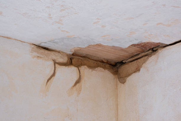 Best Flood restoration services  in Weweantic, MA