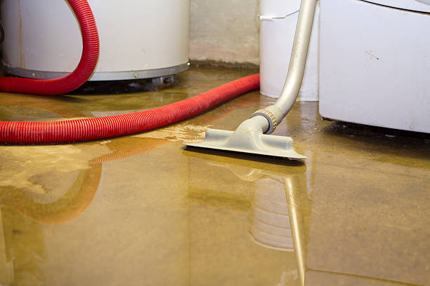Best Fire Damage Restoration  in Weweantic, MA