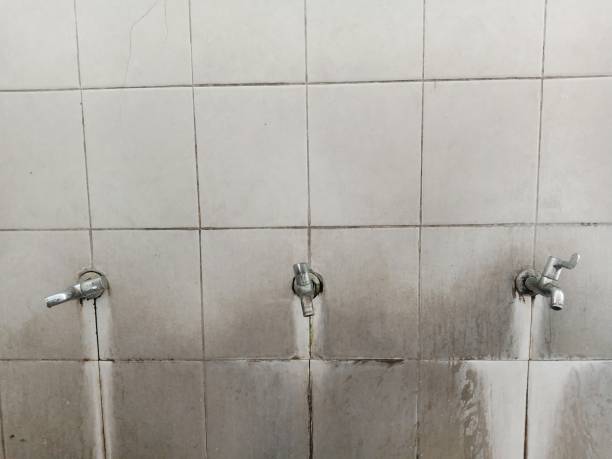 Best 24/7 water damage repair  in Weweantic, MA
