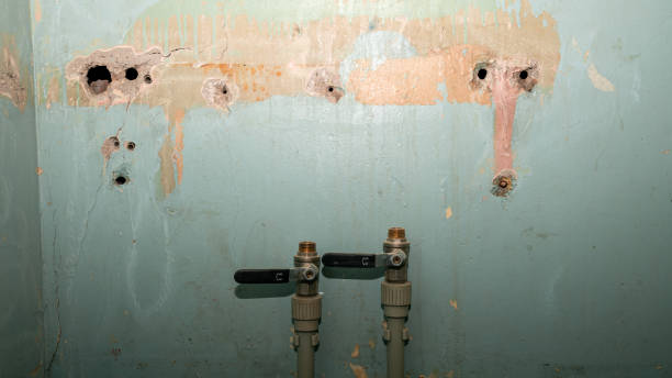 Best Water damage restoration near me  in Weweantic, MA