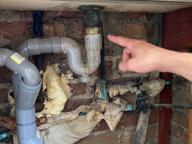 Best Flood damage cleanup  in Weweantic, MA
