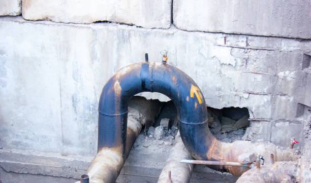Best Carpet water damage restoration  in Weweantic, MA