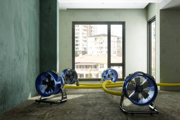 Best Water damage repair service  in Weweantic, MA